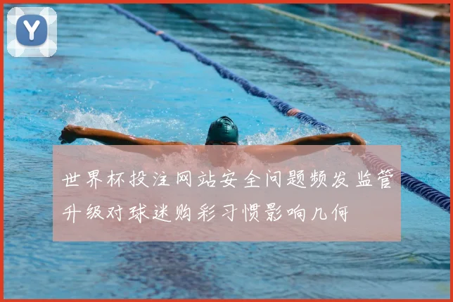 世界杯投注网站安全问题频发监管升级对球迷购彩习惯影响几何